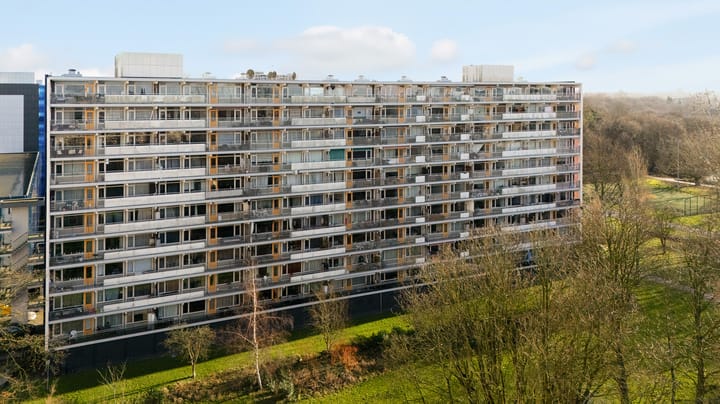 Foto 1 van Petmolen 57