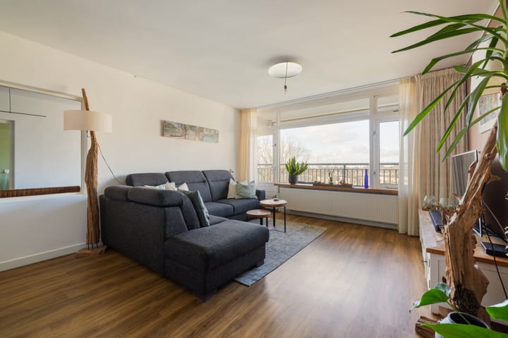 Foto 7 van Petmolen 57