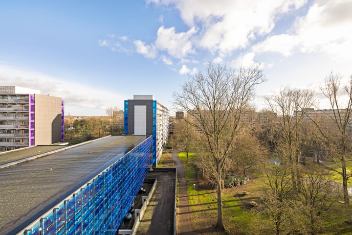 Foto 32 van Petmolen 57