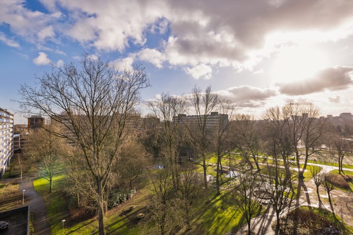 Foto 34 van Petmolen 57