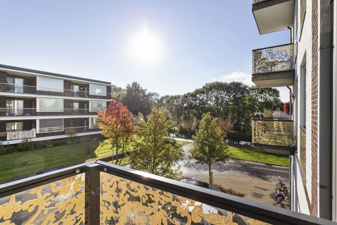 Foto 16 van Vogelzand 24