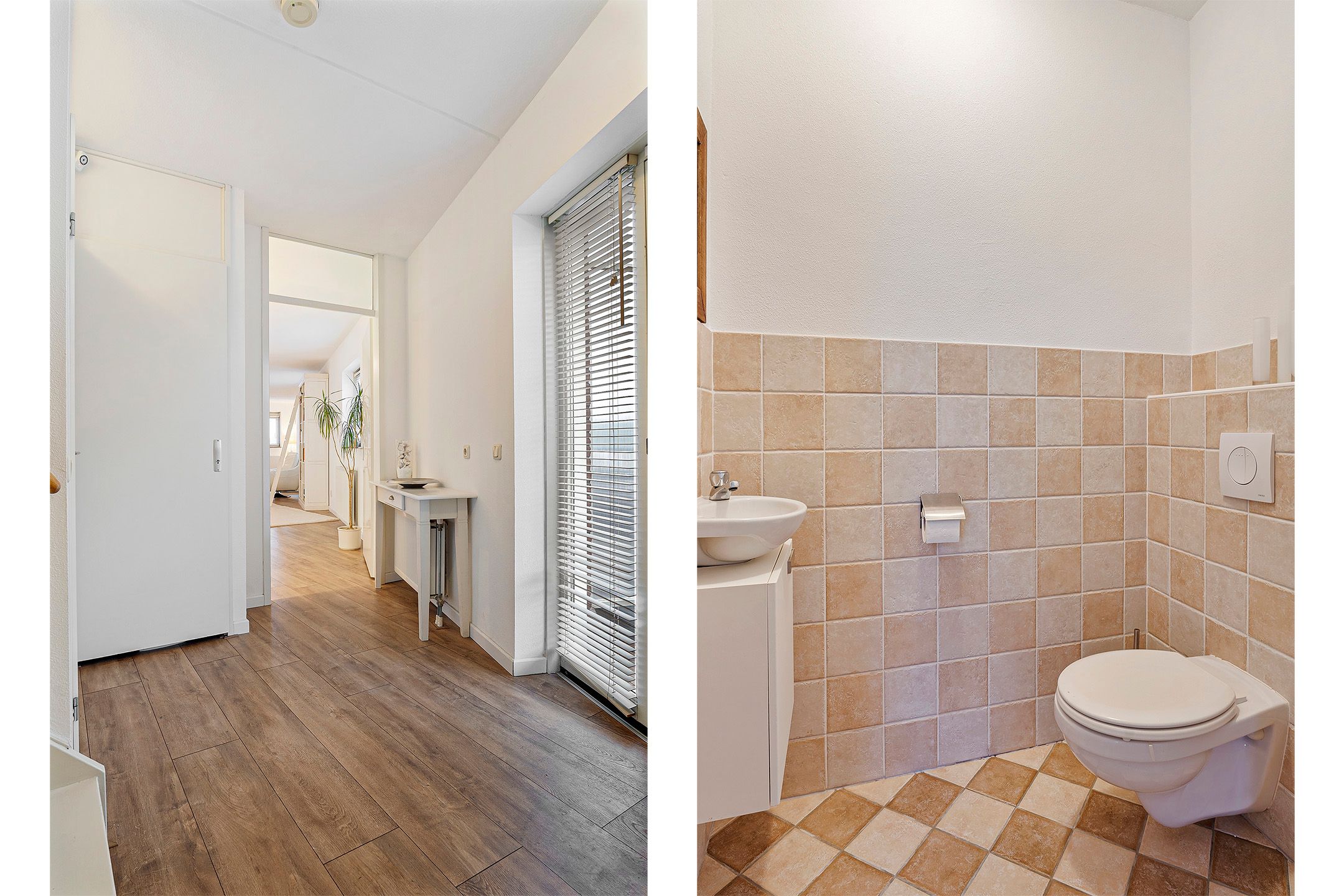 Foto 9 van Mosselsingel 5