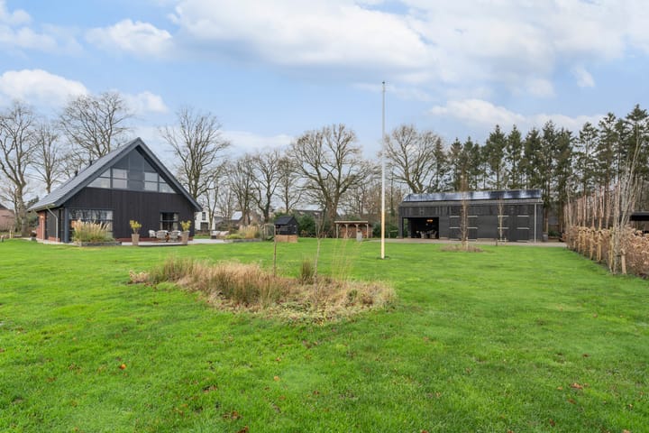 Photo 2 of Zwartkoorten 1