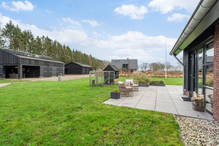 Photo 41 of Zwartkoorten 1