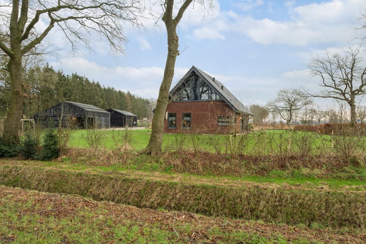 Photo 50 of Zwartkoorten 1