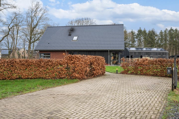 Photo 51 of Zwartkoorten 1