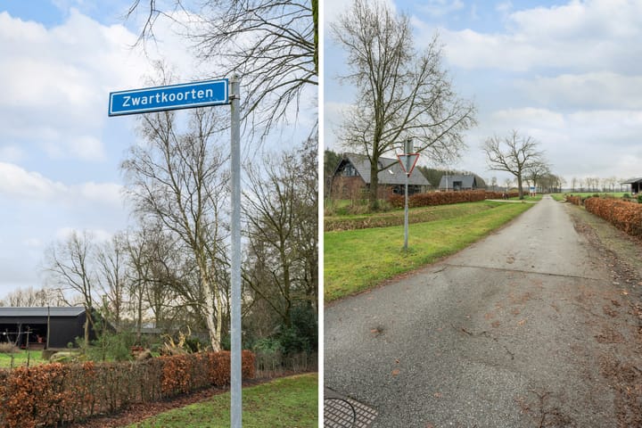 Photo 55 of Zwartkoorten 1