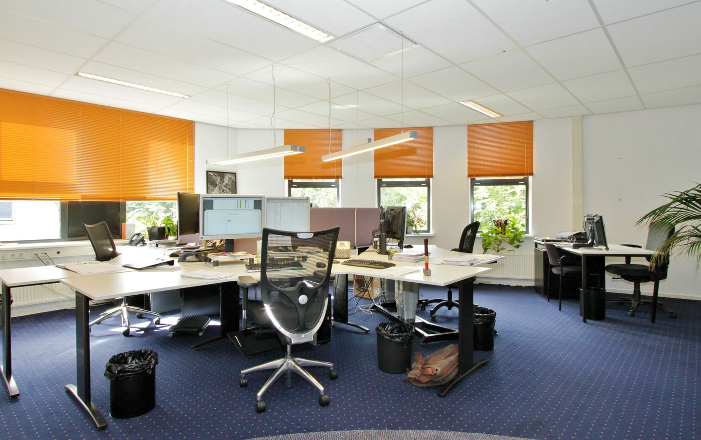 View photo 3 of Paasbosweg 8