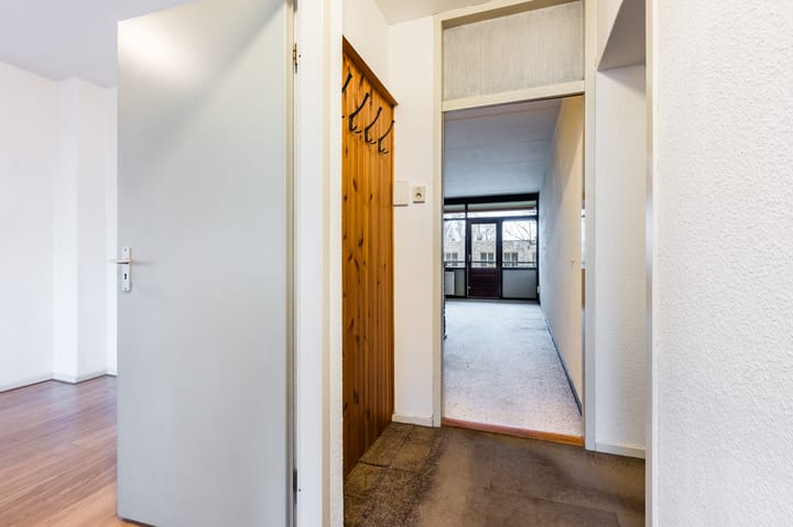 Foto 12 van Nobel 40