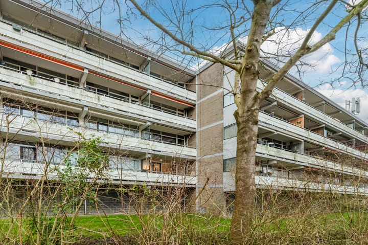 Foto 27 van Nobel 40