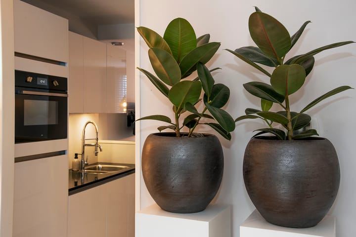 Foto 14 van Glasgowstraat 33