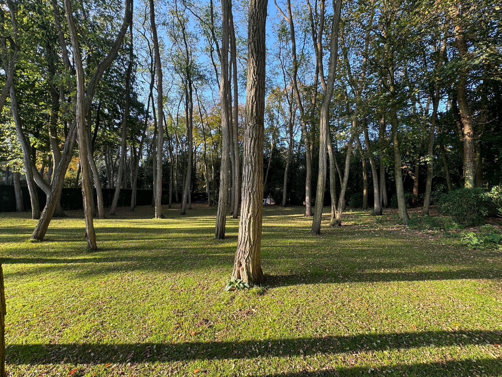 Foto 3 van Nicolaas Beetspad