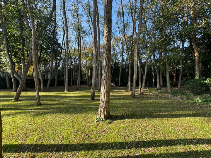 Photo 3 of Nicolaas Beetspad