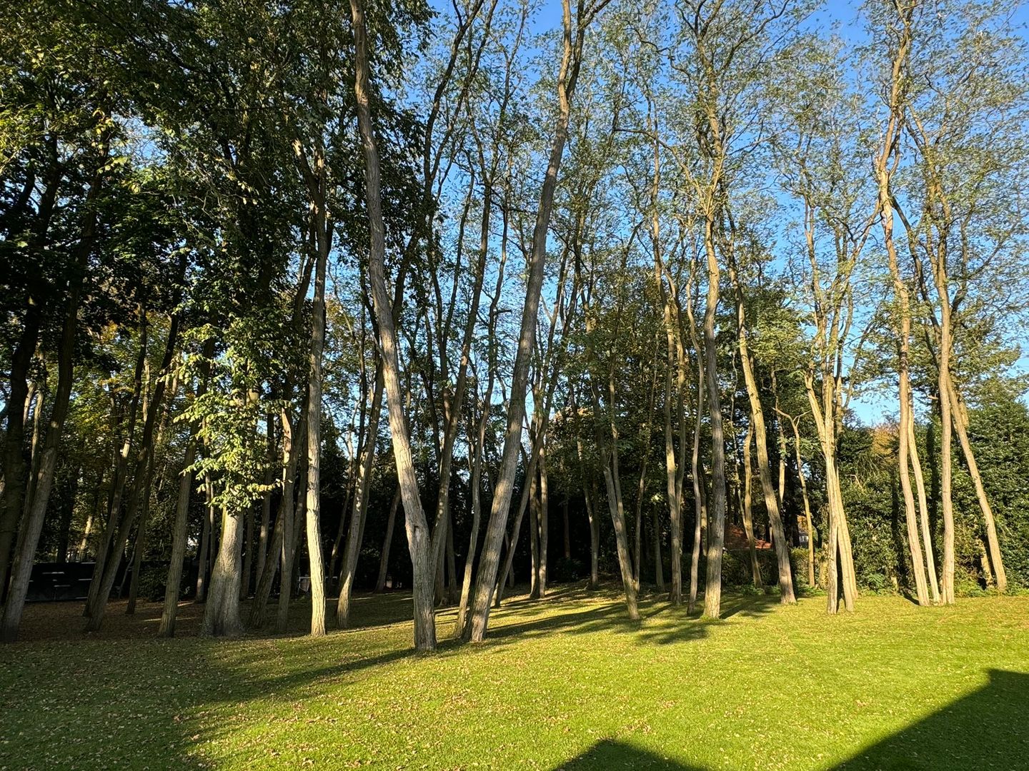 Foto 4 van Nicolaas Beetspad