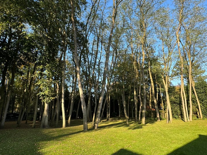 Photo 4 of Nicolaas Beetspad