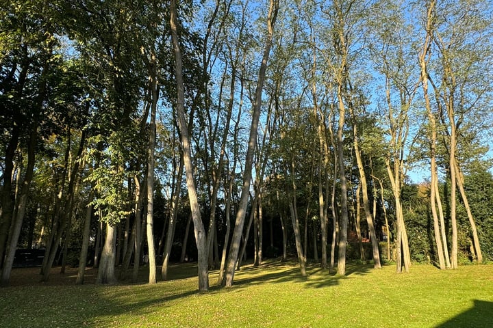 Photo 4 of Nicolaas Beetspad
