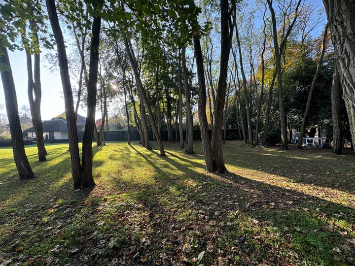 Photo 2 of Nicolaas Beetspad