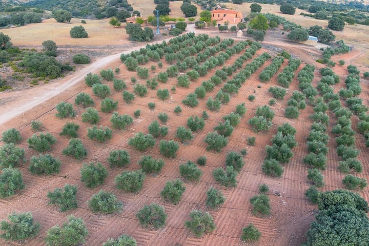 Bekijk foto 4 van Argamasilla de Alba 21