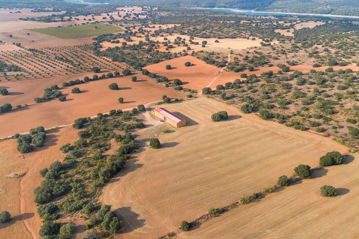 Bekijk foto 92 van Argamasilla de Alba 21