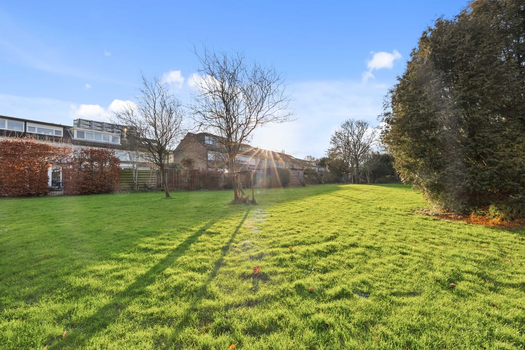 Foto 17 van Elzendreef 705