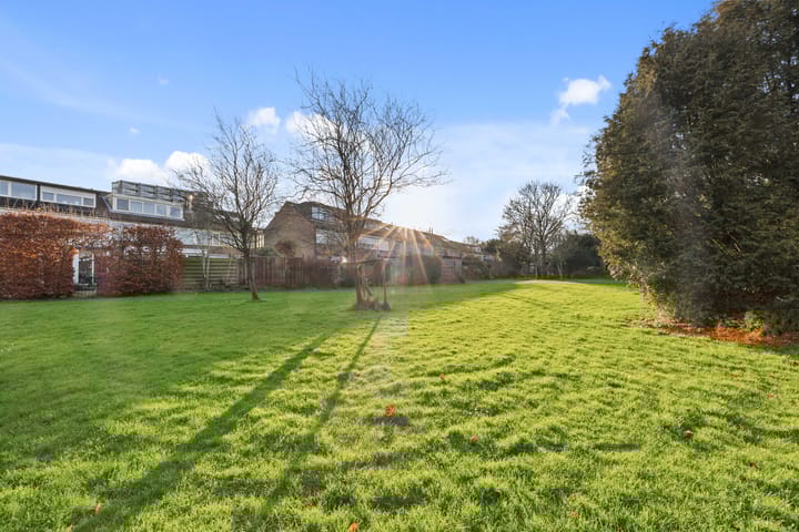 Foto 17 van Elzendreef 705