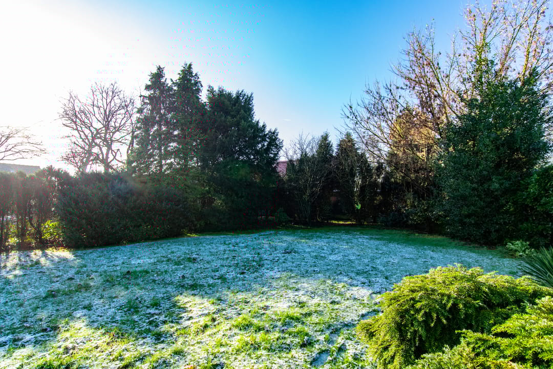 Foto 52 van Wilhelmietenstraat 30