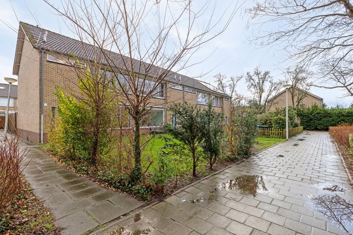 Foto 29 van Van Houtenstraat 26