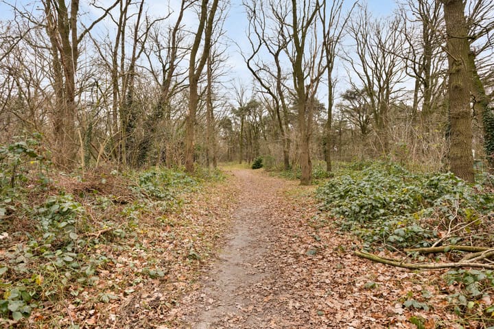 Foto 51 van Polderweg 14