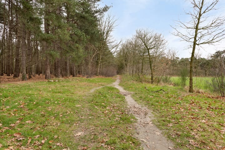 Foto 53 van Polderweg 14