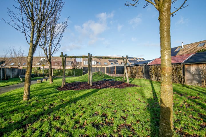 Foto 43 van Zebraspoor 699