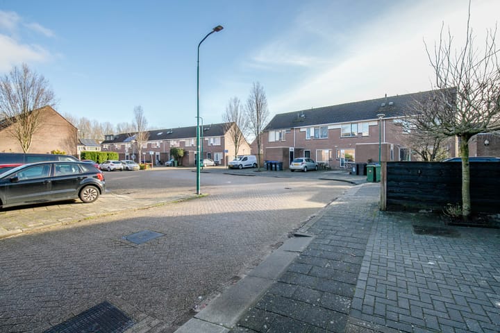 Foto 45 van Zebraspoor 699