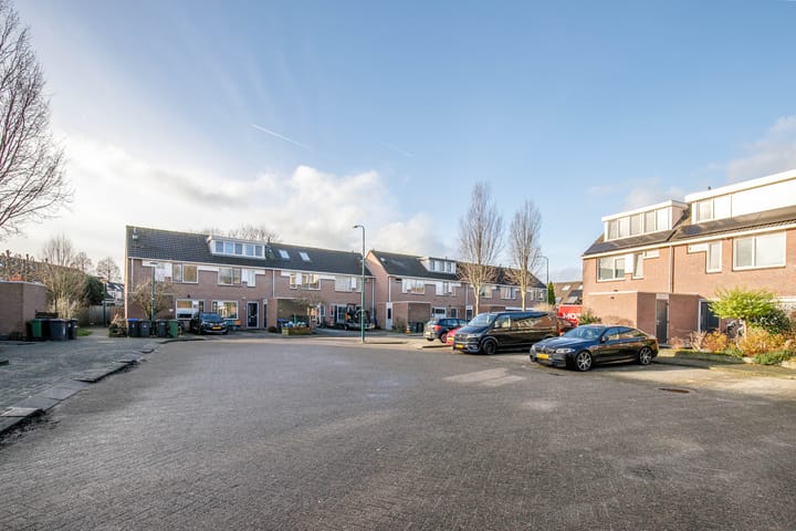 Foto 46 van Zebraspoor 699