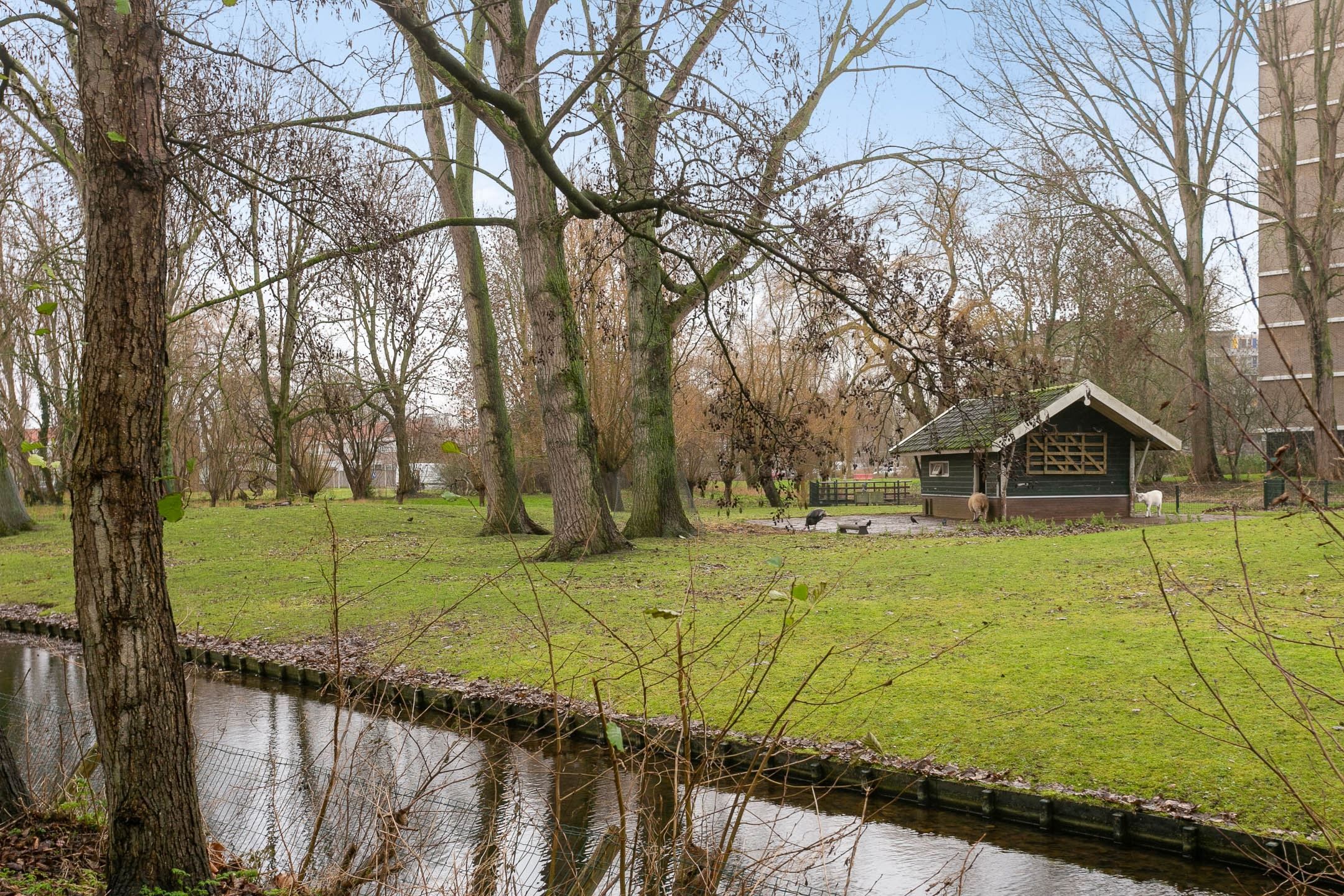 Foto 27 van Jan Luykenlaan 121