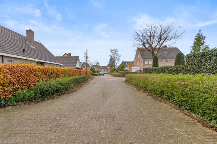 Foto 47 van Distelberg 39