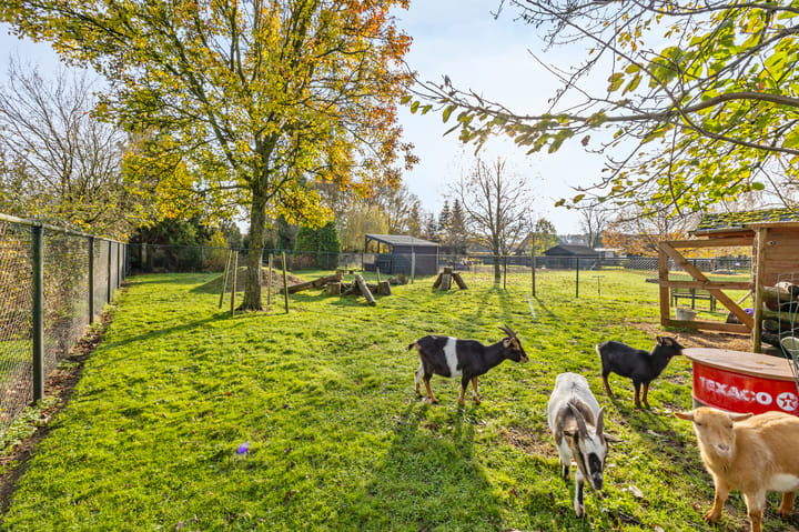 Photo 4 of Hombergstraat 9