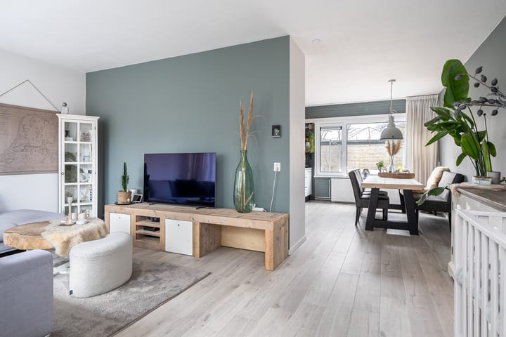 Foto 2 van Zwemmer 59