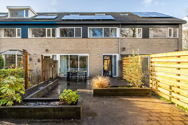 Foto 42 van Zwemmer 59