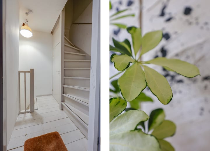 Photo 16 of Goudsbloemstraat 32-1