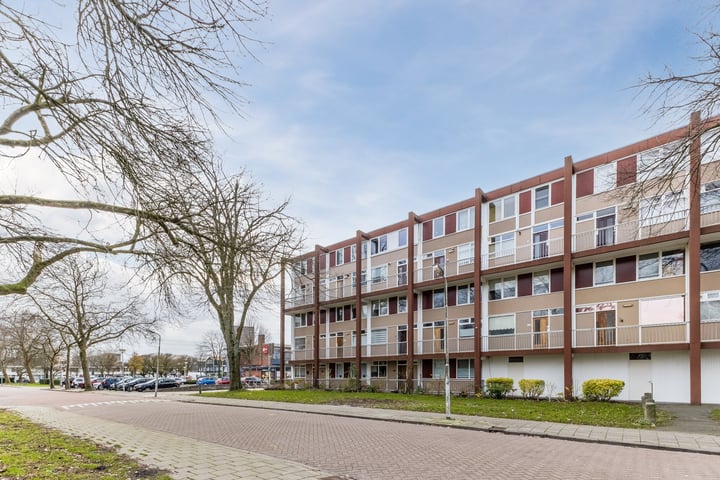 Zilverschoonplein 36