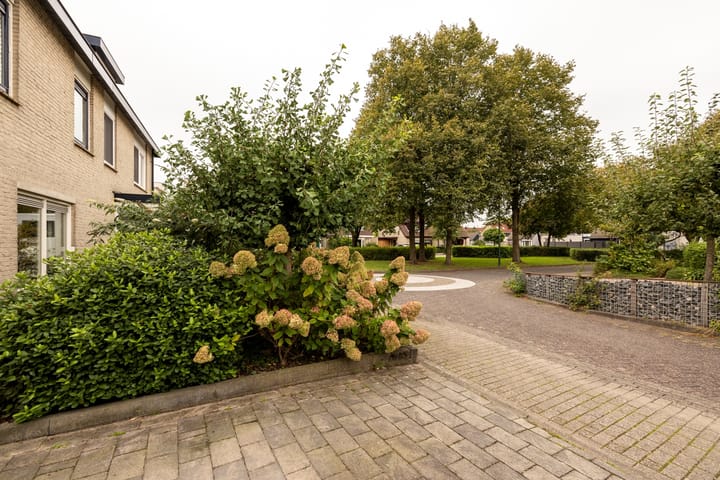 Foto 5 van Klipper 37