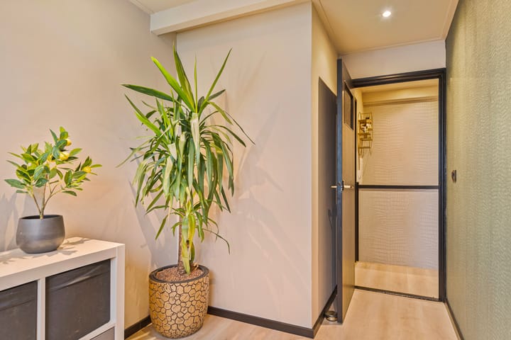 Foto 38 van Minervastraat 69