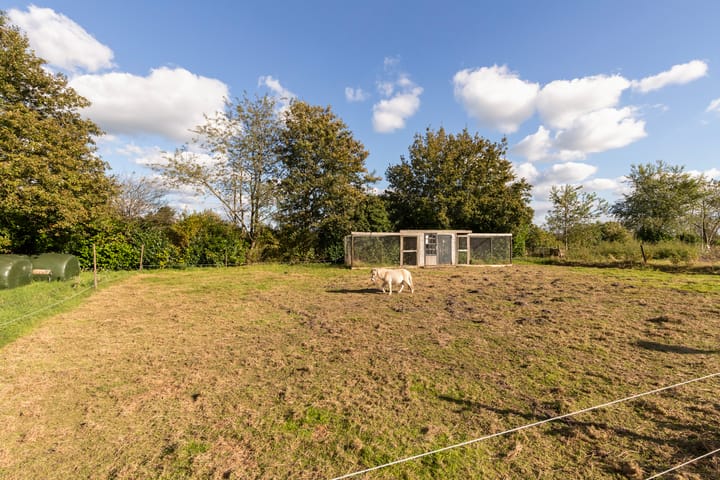 Foto 52 van Waterstraat 11