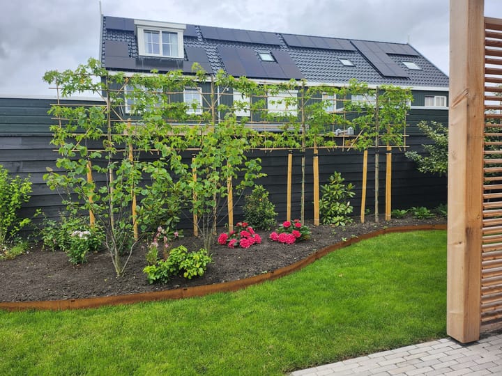 Foto 40 van Meerkoetstraat 32