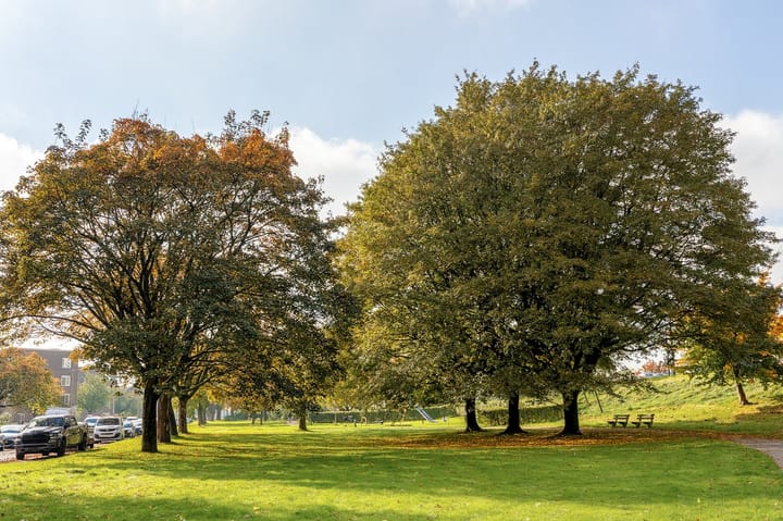 Foto 13 van Orchislaan 19-4