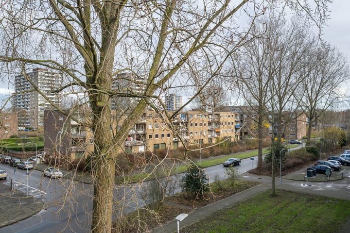 Foto 21 van Prattenburg 341