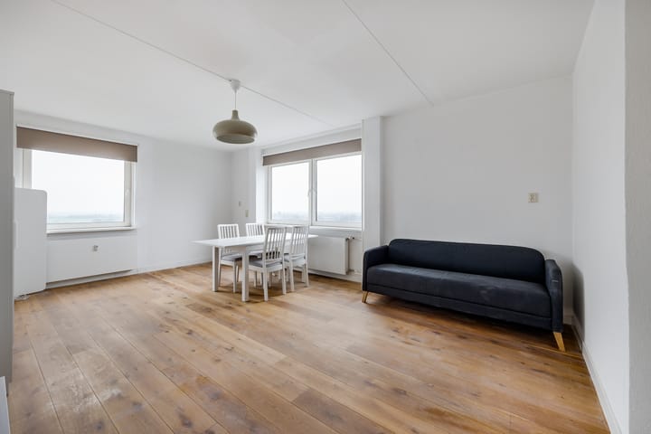 Foto 2 van Professor Van der Scheerstraat 261