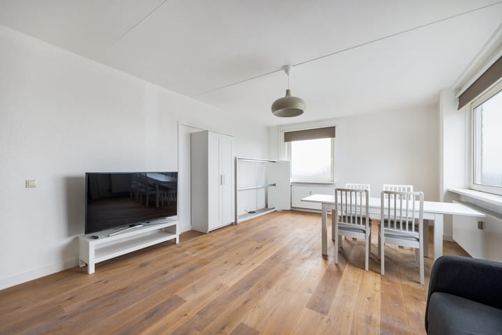 Foto 3 van Professor Van der Scheerstraat 261