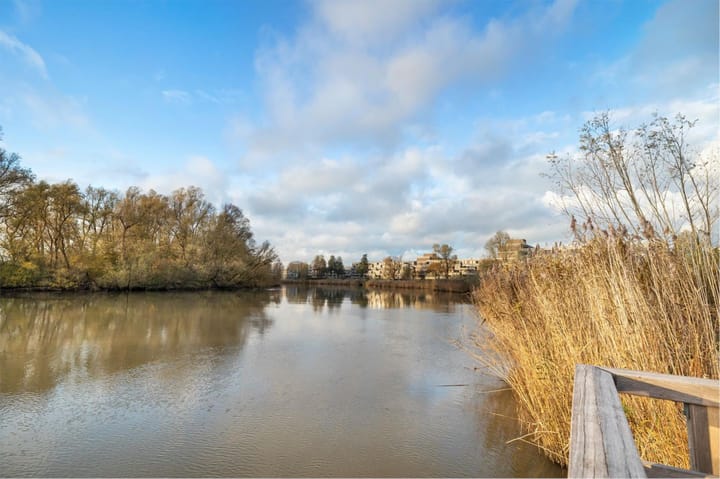 Foto 2 van Haringvlietstraat 12