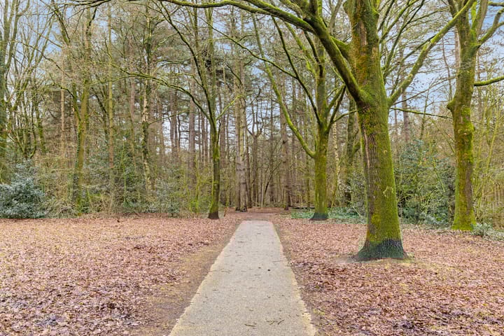 Foto 44 van Wolvespoor 7