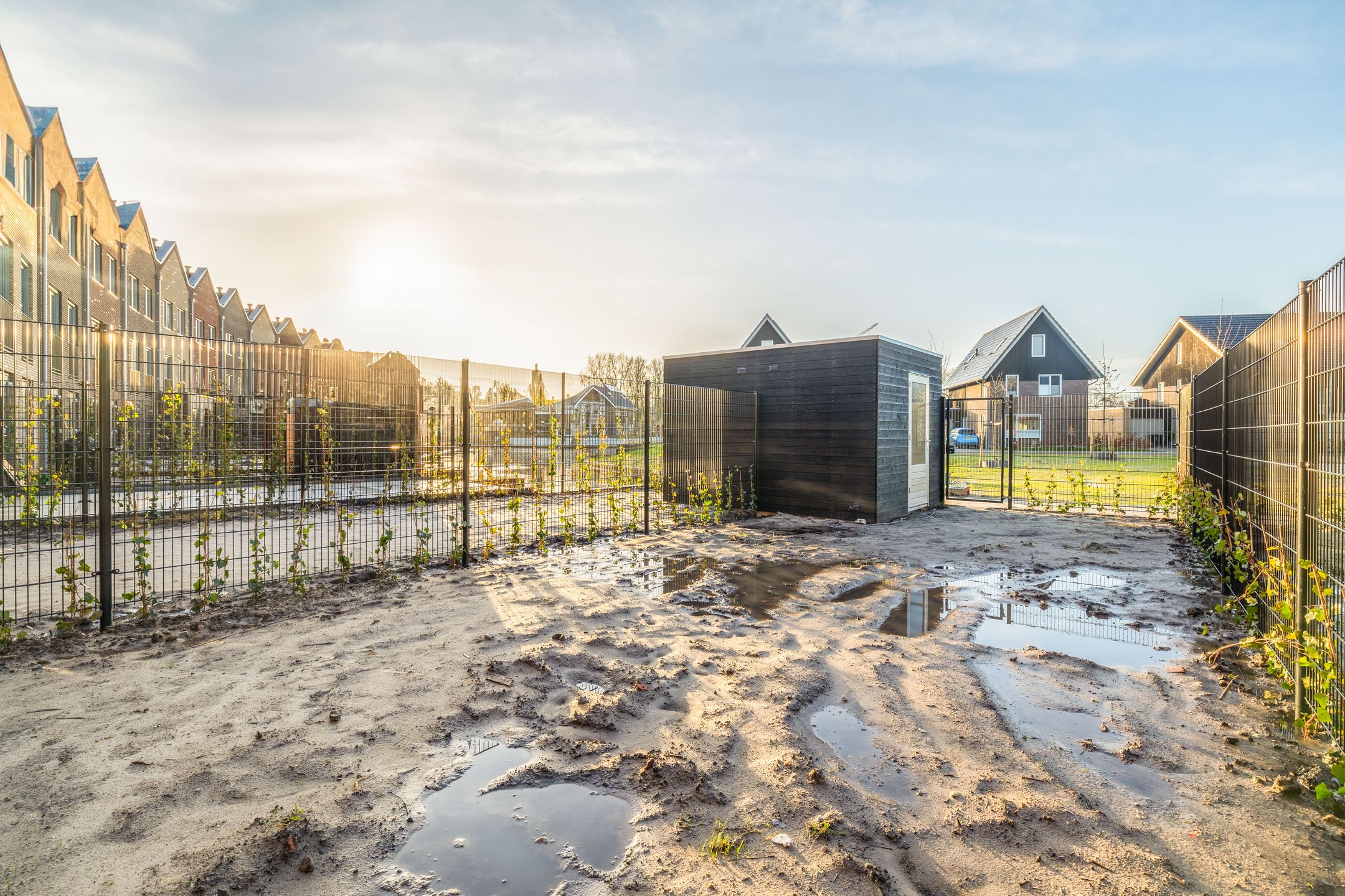 Photo 36 of Rinze Wibbelinkstraat 29